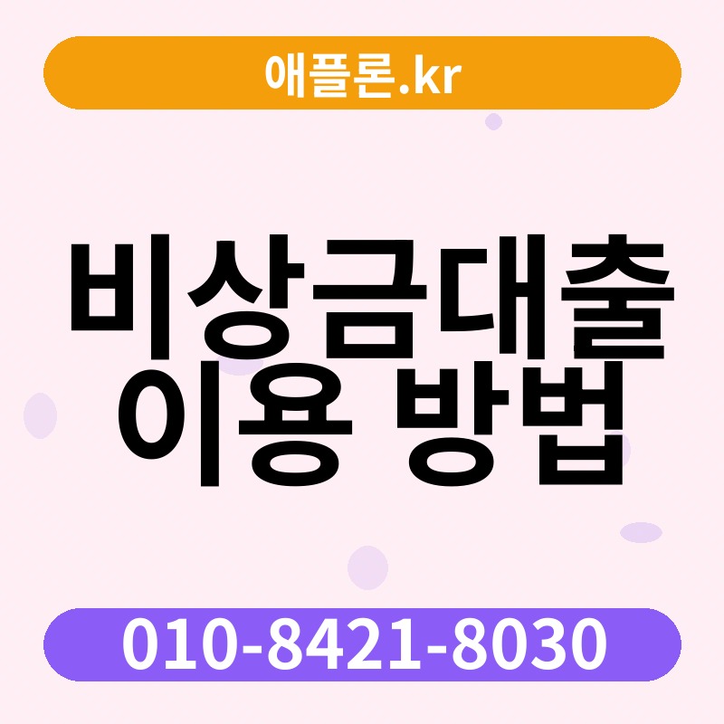 비상금대출 이용 방법 | 애플론.kr | 010-8421-8030