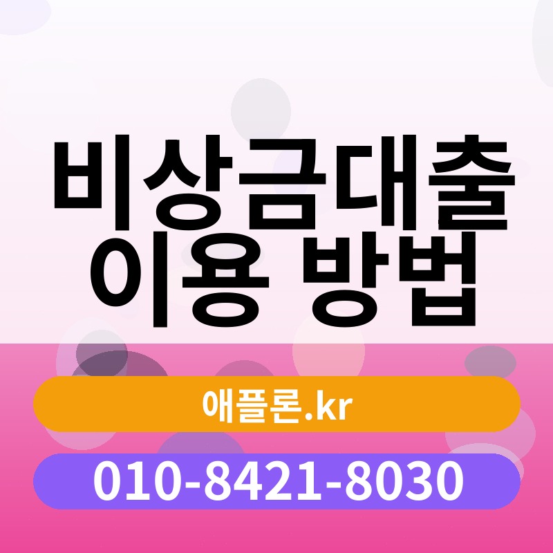 비상금대출 이용 방법 | 애플론.kr | 010-8421-8030