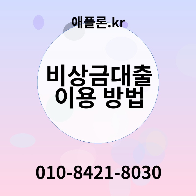 비상금대출 이용 방법 | 애플론.kr | 010-8421-8030