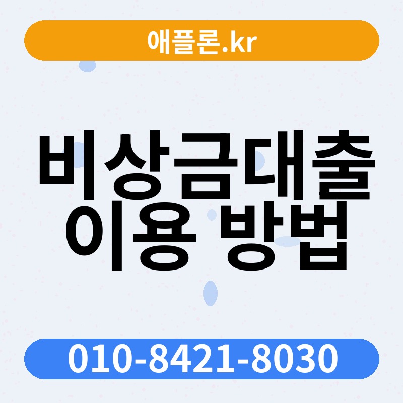 비상금대출 이용 방법 | 애플론.kr | 010-8421-8030