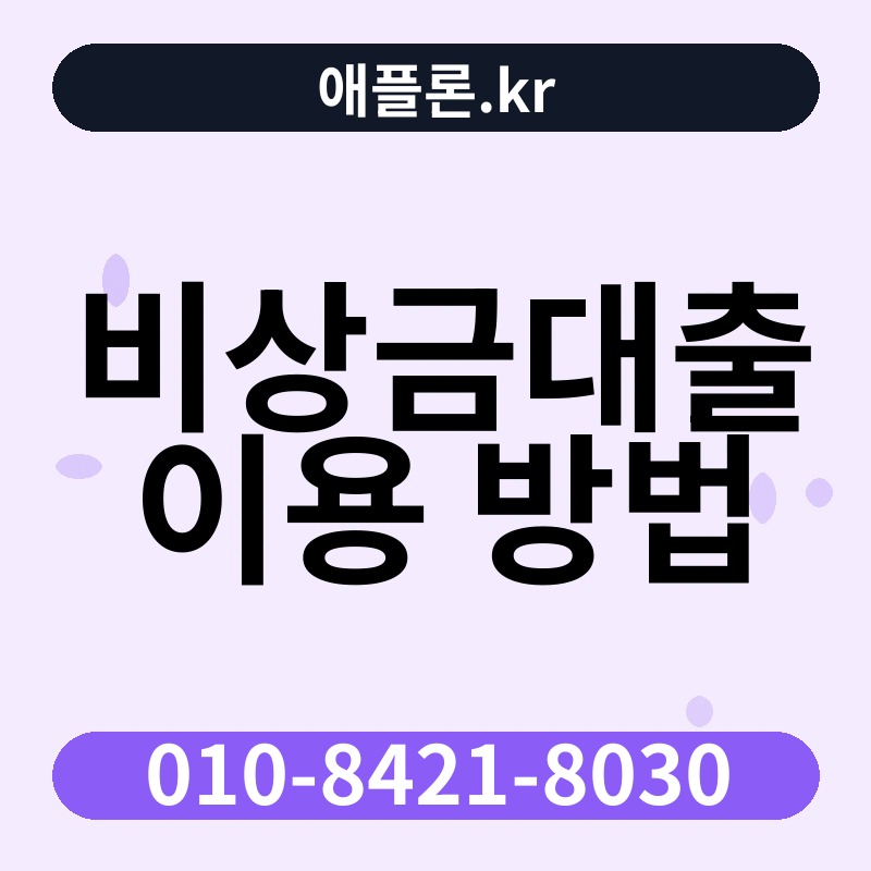비상금대출 이용 방법 | 애플론.kr | 010-8421-8030