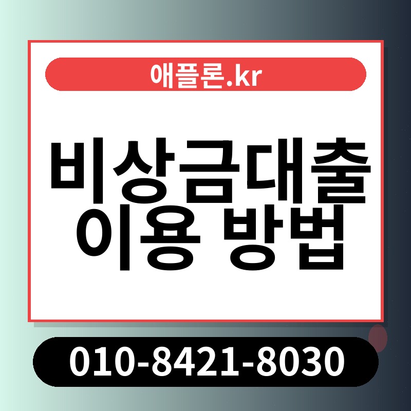 비상금대출 이용 방법 | 애플론.kr | 010-8421-8030
