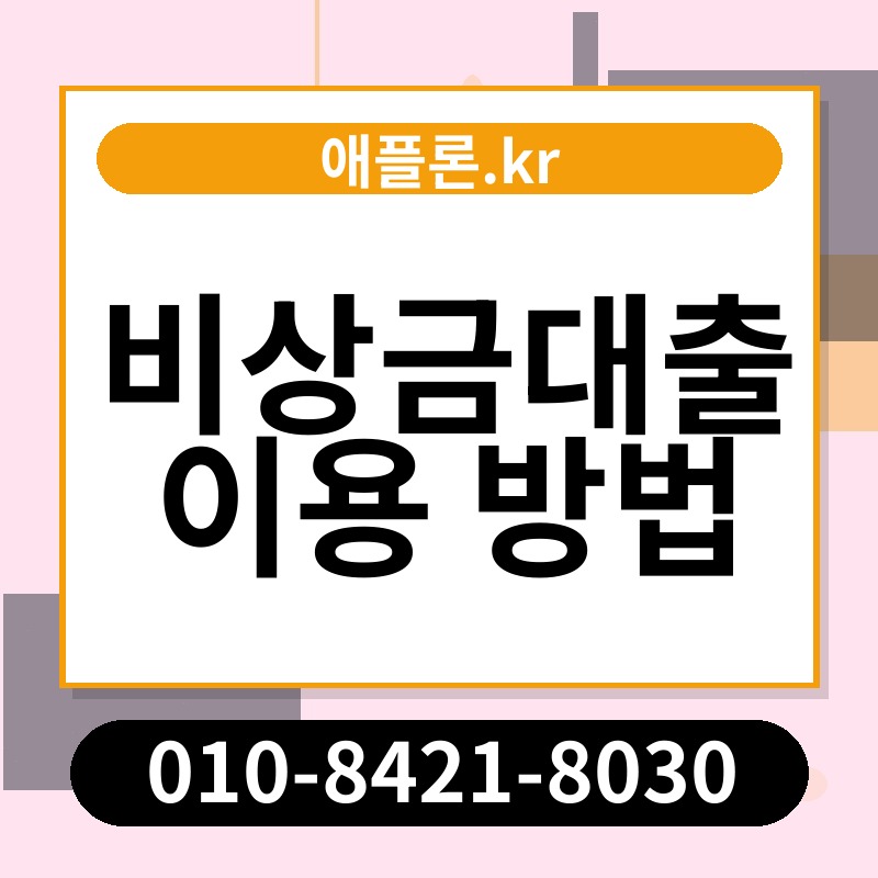 비상금대출 이용 방법 | 애플론.kr | 010-8421-8030