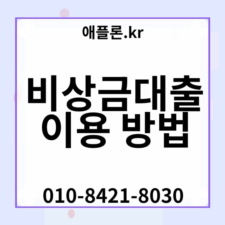 비상금대출 이용 방법 | 애플론.kr | 010-8421-8030