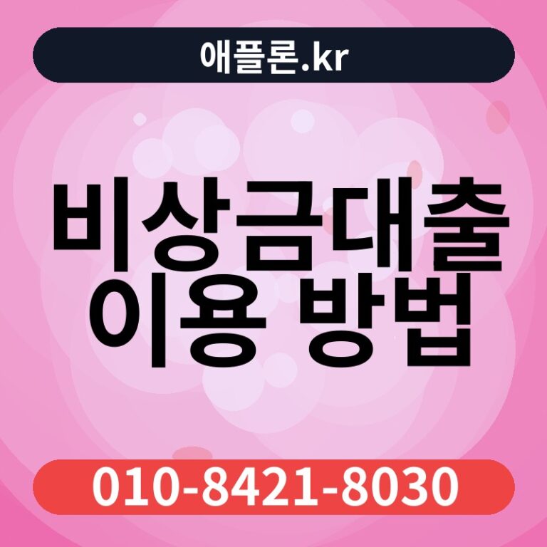 비상금대출 이용 방법 | 애플론.kr | 010-8421-8030