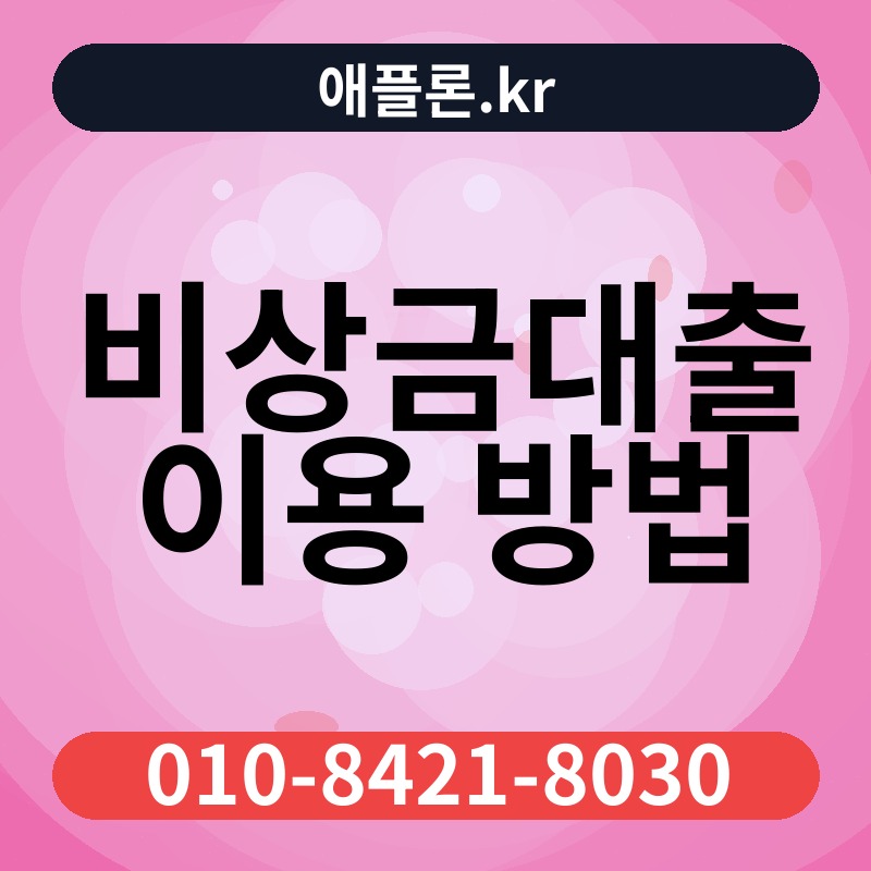 비상금대출 이용 방법 | 애플론.kr | 010-8421-8030
