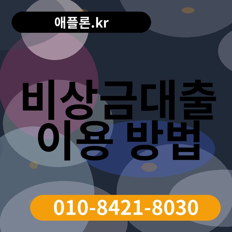 비상금대출 이용 방법 | 애플론.kr | 010-8421-8030