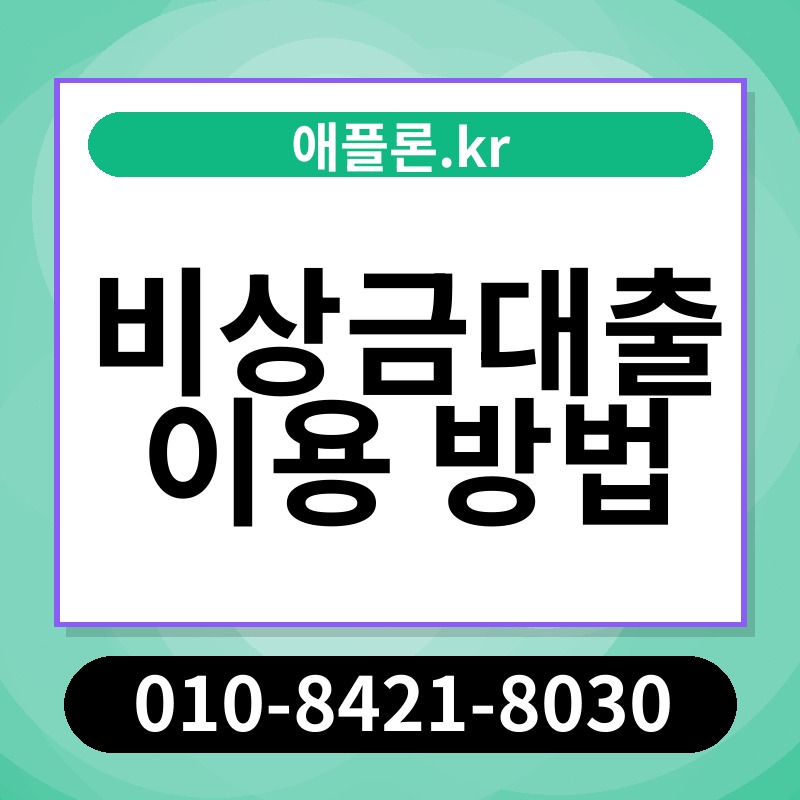 비상금대출 이용 방법 | 애플론.kr | 010-8421-8030