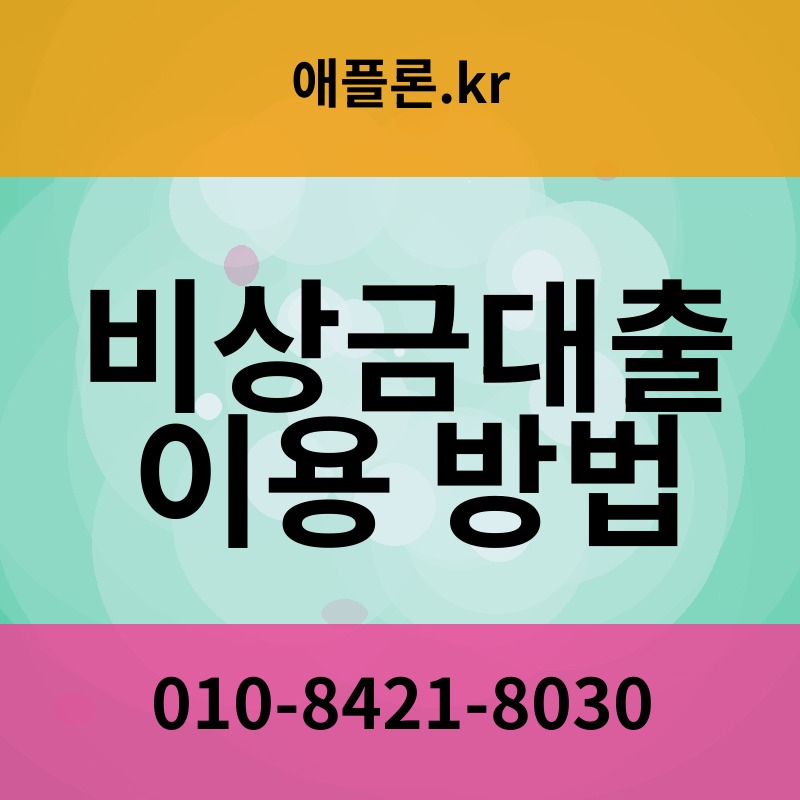 비상금대출 이용 방법 | 애플론.kr | 010-8421-8030