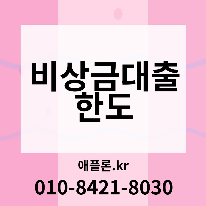 비상금대출 한도 | 애플론.kr | 010-8421-8030