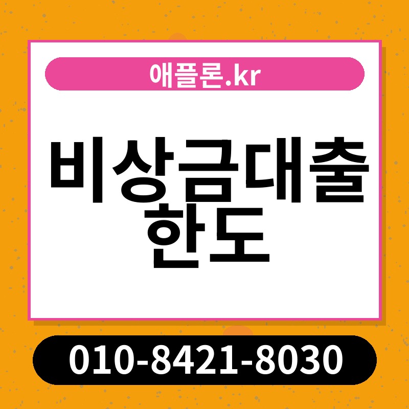 비상금대출 한도 | 애플론.kr | 010-8421-8030