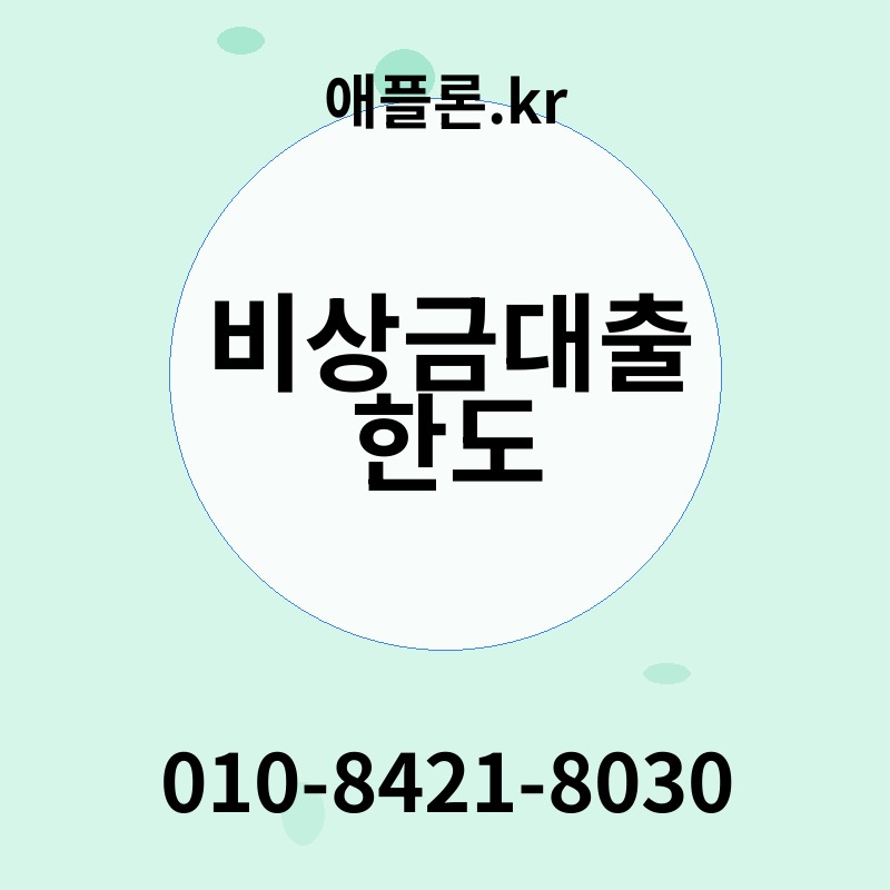 비상금대출 한도 | 애플론.kr | 010-8421-8030