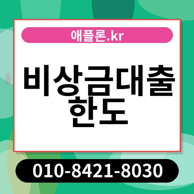 비상금대출 한도 | 애플론.kr | 010-8421-8030
