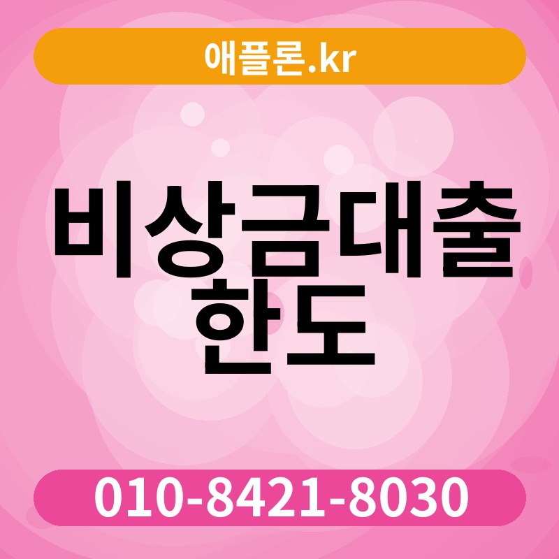 비상금대출 한도 | 애플론.kr | 010-8421-8030