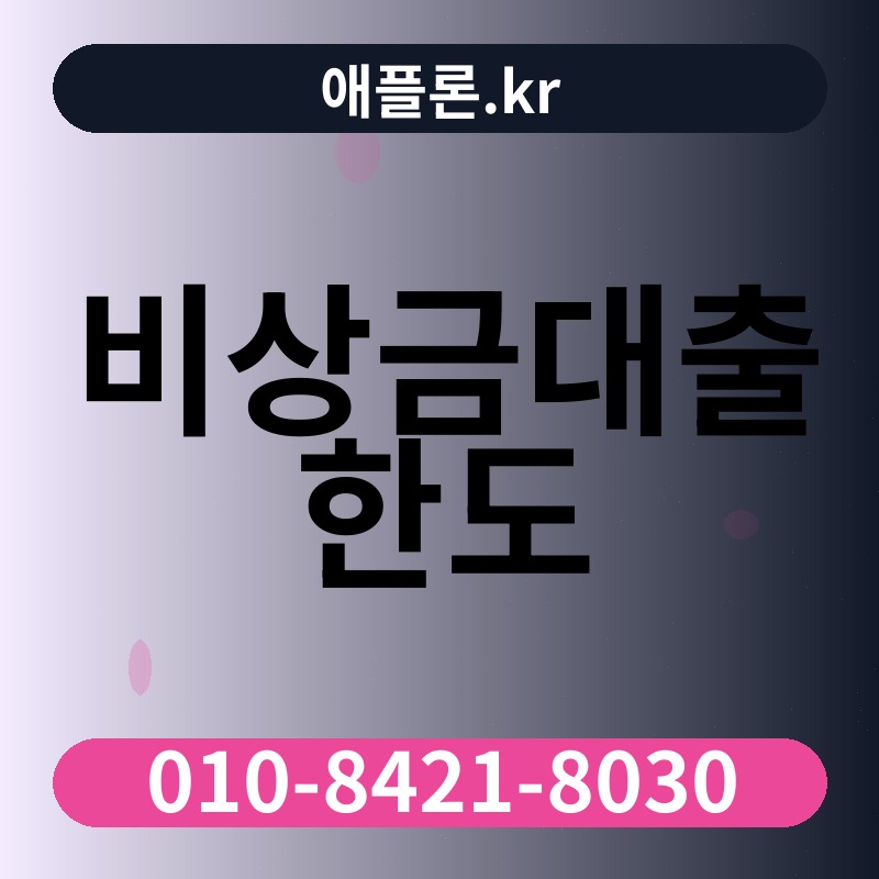 비상금대출 한도 | 애플론.kr | 010-8421-8030