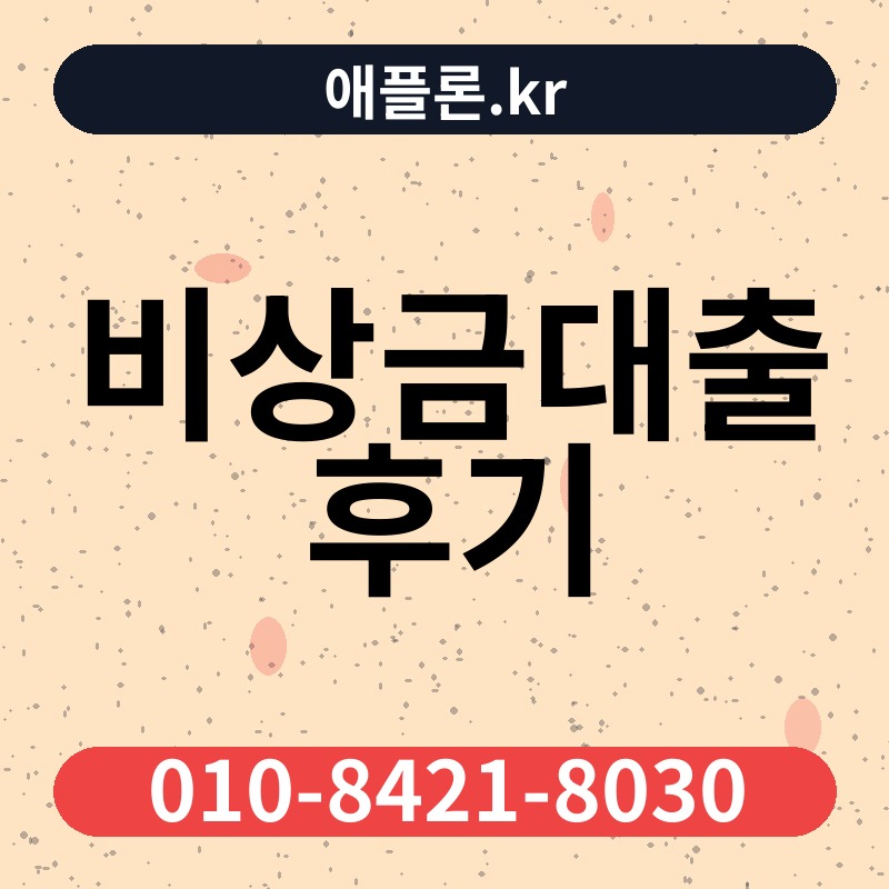 비상금대출 후기 | 애플론.kr | 010-8421-8030