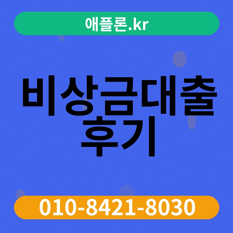 비상금대출 후기 | 애플론.kr | 010-8421-8030
