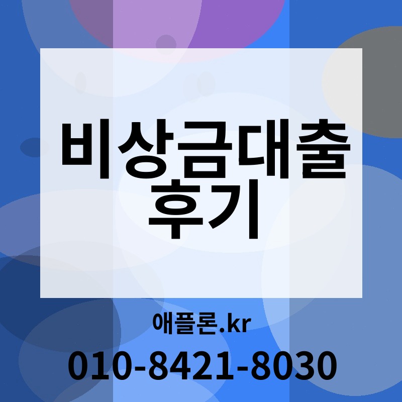 비상금대출 후기 | 애플론.kr | 010-8421-8030