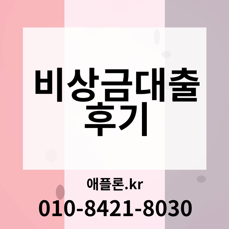 비상금대출 후기 | 애플론.kr | 010-8421-8030