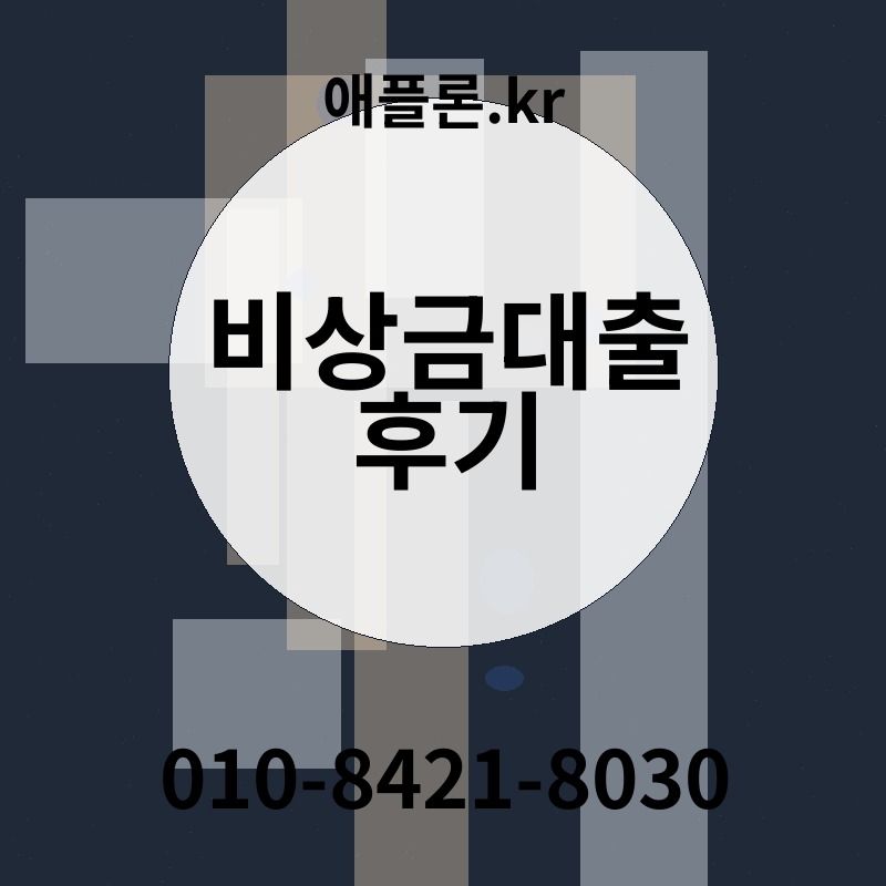 비상금대출 후기 | 애플론.kr | 010-8421-8030