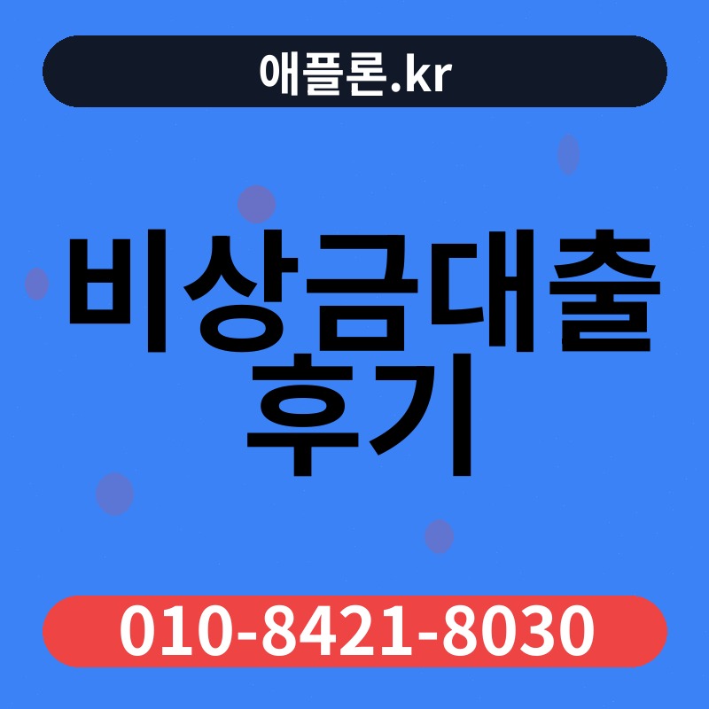 비상금대출 후기 | 애플론.kr | 010-8421-8030