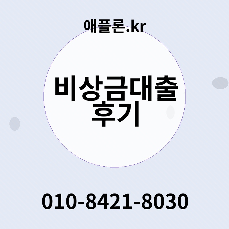 비상금대출 후기 | 애플론.kr | 010-8421-8030