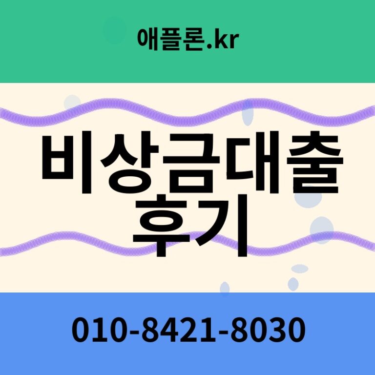 비상금대출 후기 | 애플론.kr | 010-8421-8030