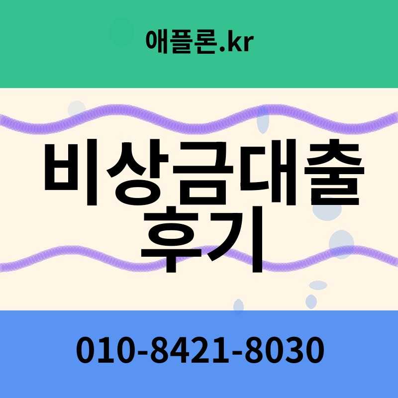 비상금대출 후기 | 애플론.kr | 010-8421-8030