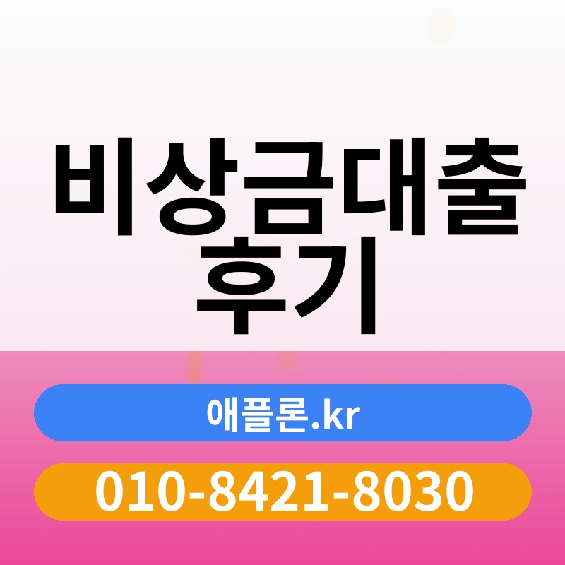 비상금대출 후기 | 애플론.kr | 010-8421-8030