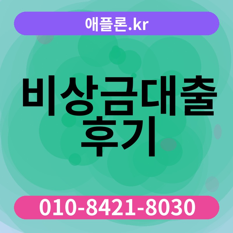 비상금대출 후기 | 애플론.kr | 010-8421-8030