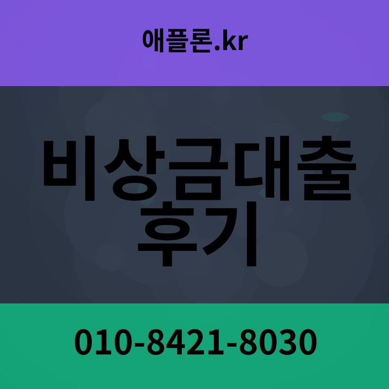 비상금대출 후기 | 애플론.kr | 010-8421-8030