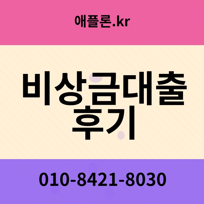 비상금대출 후기 | 애플론.kr | 010-8421-8030