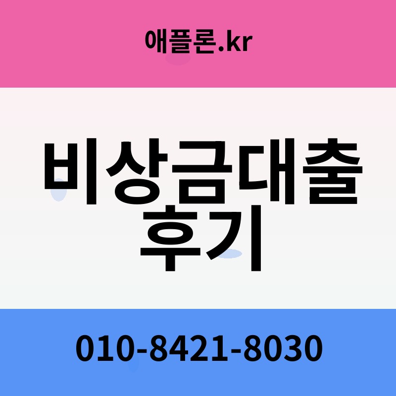 비상금대출 후기 | 애플론.kr | 010-8421-8030