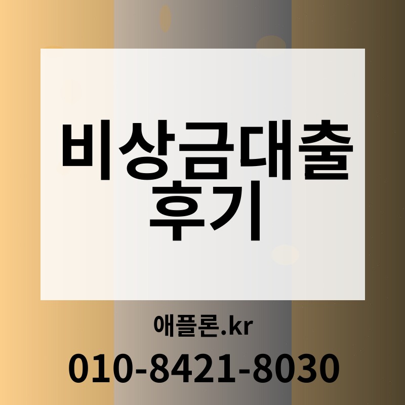 비상금대출 후기 | 애플론.kr | 010-8421-8030