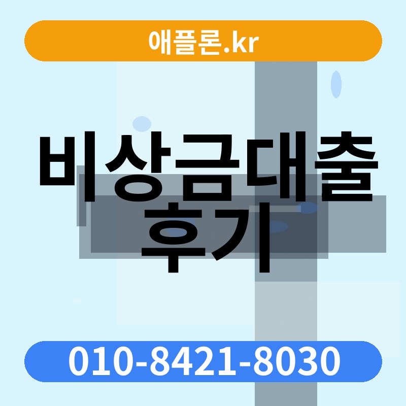 비상금대출 후기 | 애플론.kr | 010-8421-8030