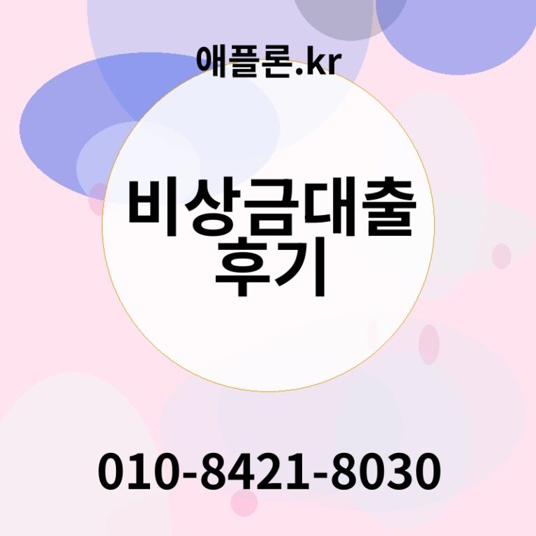 비상금대출 후기 | 애플론.kr | 010-8421-8030