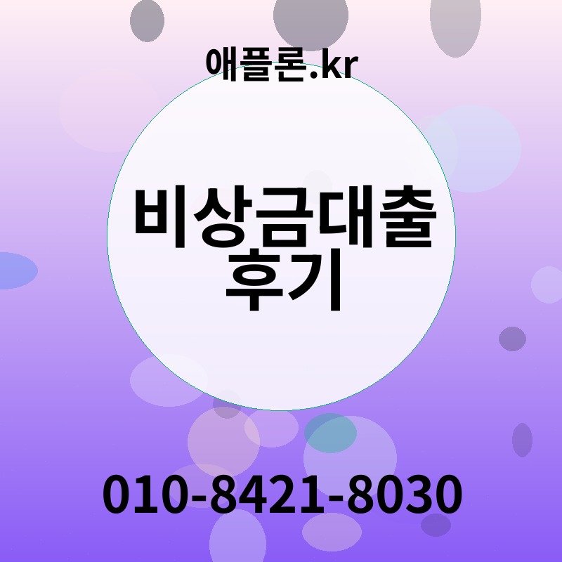 비상금대출 후기 | 애플론.kr | 010-8421-8030