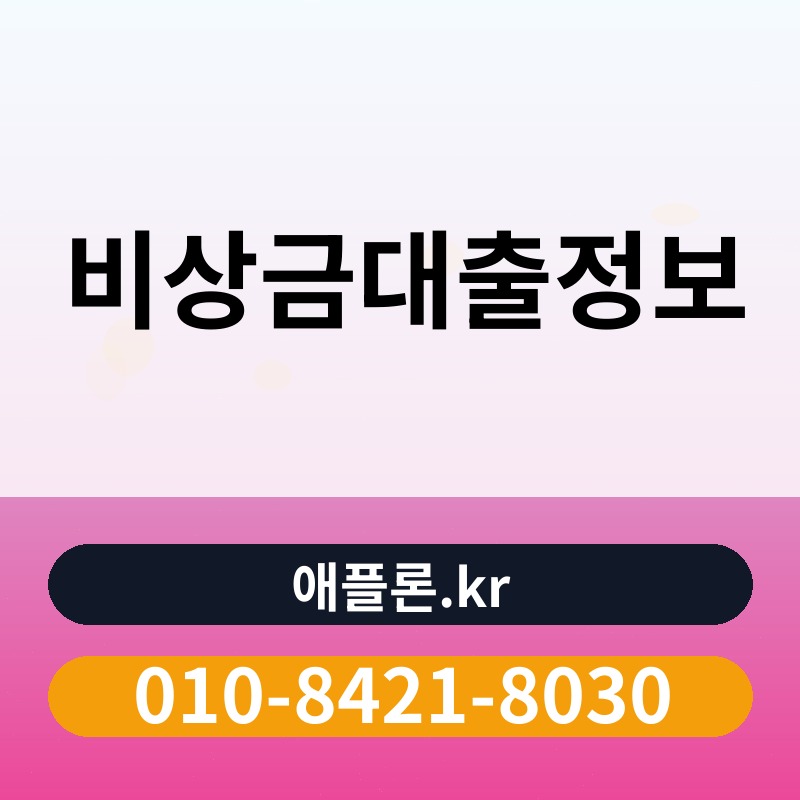 비상금대출정보 | 애플론.kr | 010-8421-8030