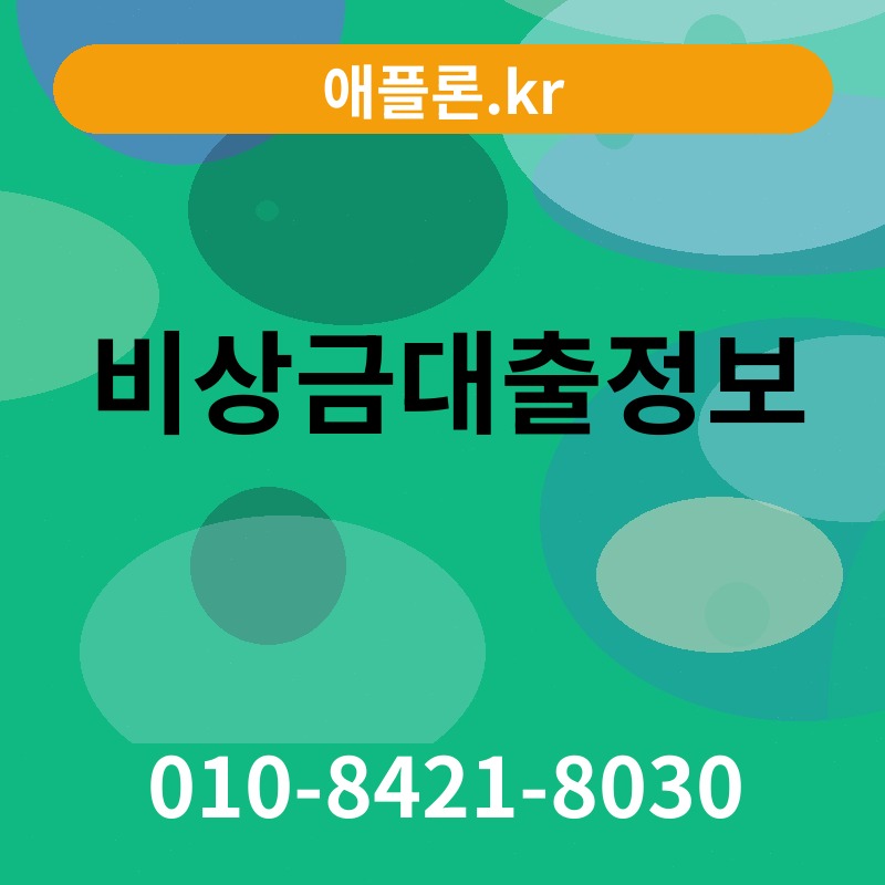 비상금대출정보 | 애플론.kr | 010-8421-8030