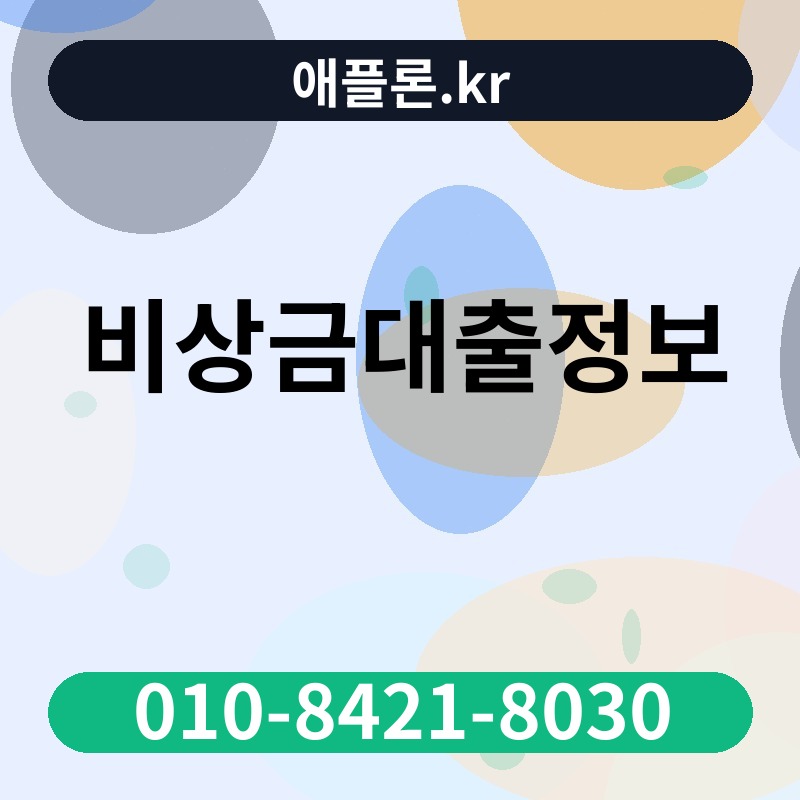 비상금대출정보 | 애플론.kr | 010-8421-8030