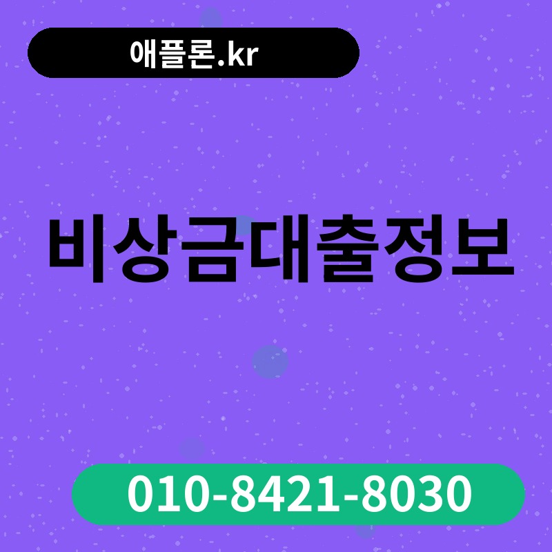 비상금대출정보 | 애플론.kr | 010-8421-8030