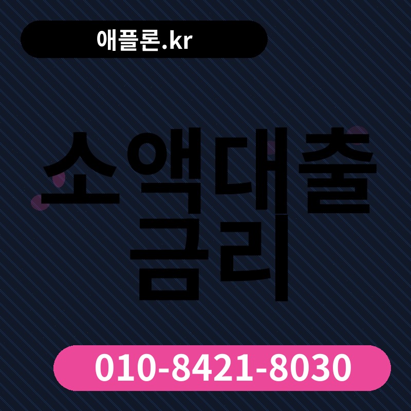 소액대출 금리 | 애플론.kr | 010-8421-8030