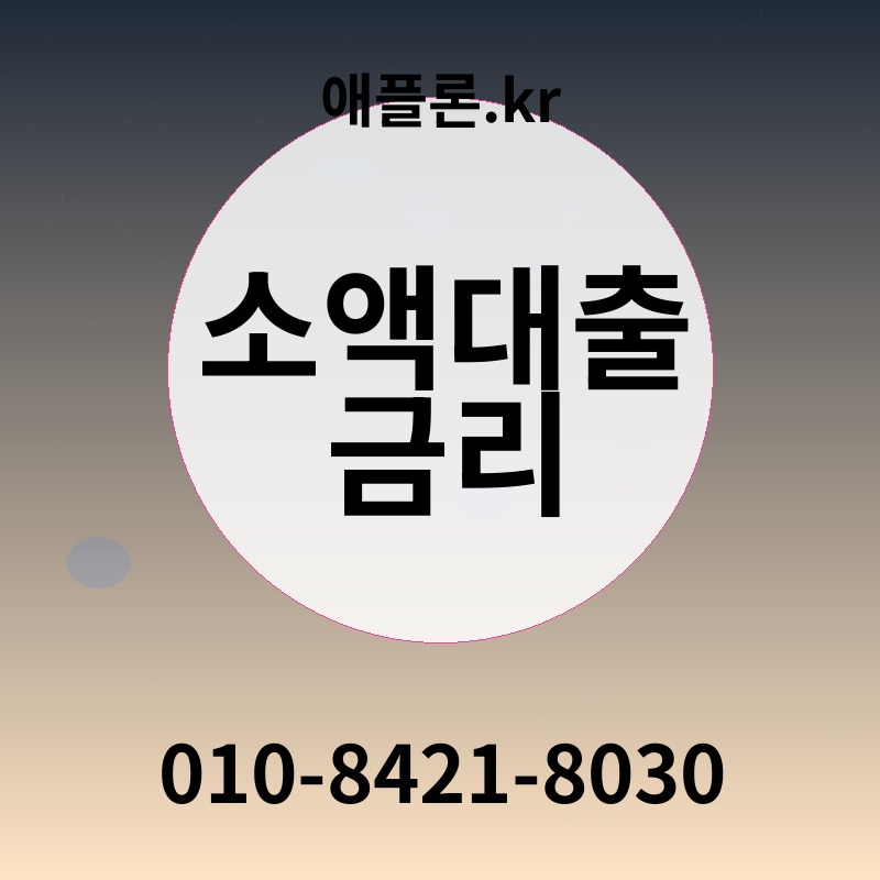 소액대출 금리 | 애플론.kr | 010-8421-8030