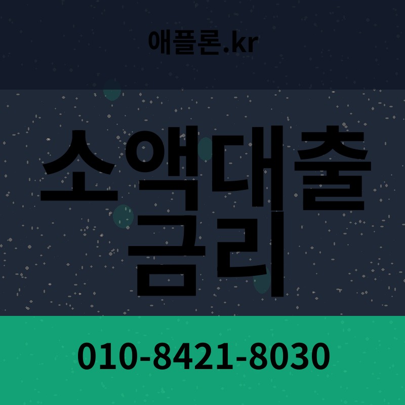 소액대출 금리 | 애플론.kr | 010-8421-8030