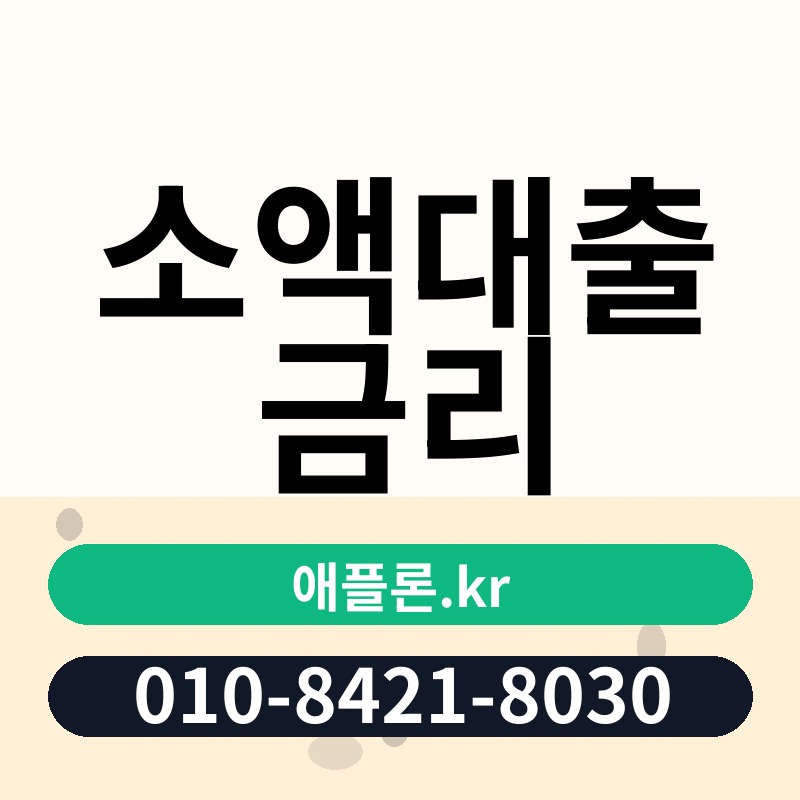 소액대출 금리 | 애플론.kr | 010-8421-8030