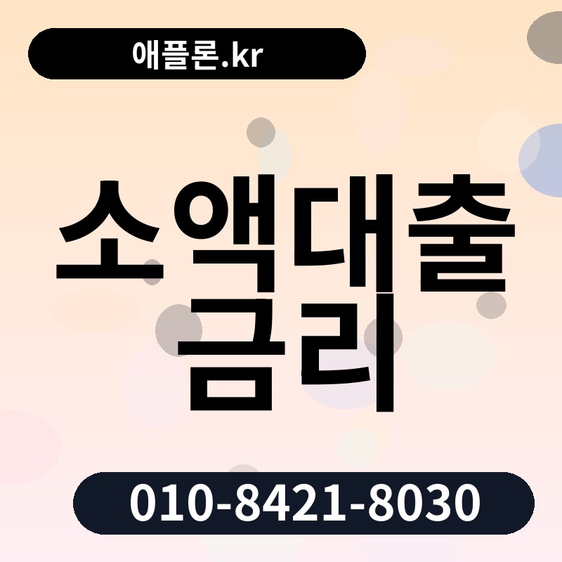 소액대출 금리 | 애플론.kr | 010-8421-8030