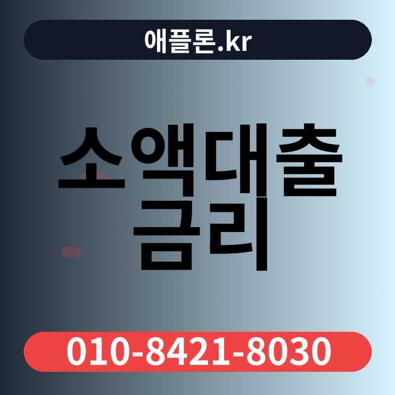 소액대출 금리 | 애플론.kr | 010-8421-8030
