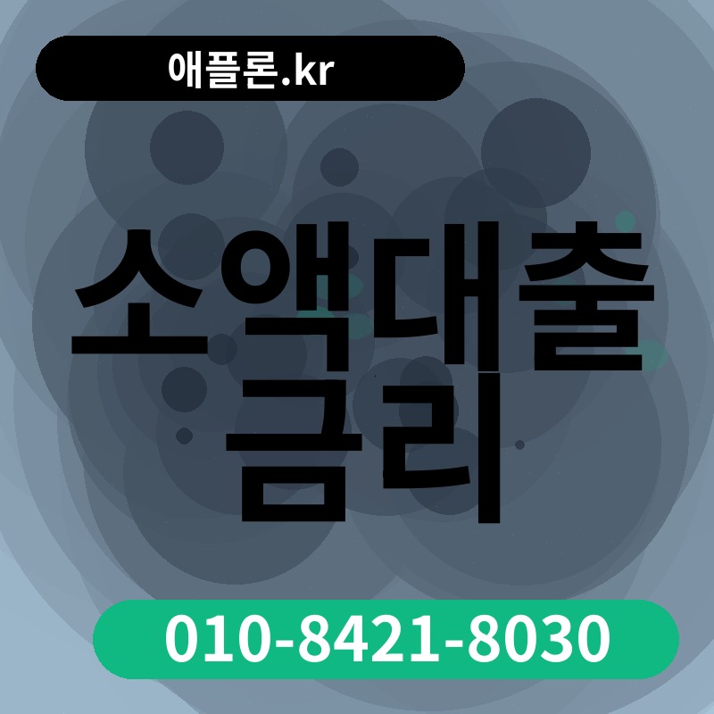 소액대출 금리 | 애플론.kr | 010-8421-8030