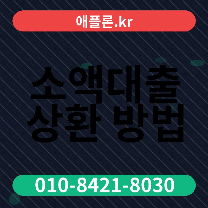 소액대출 상환 방법 | 애플론.kr | 010-8421-8030