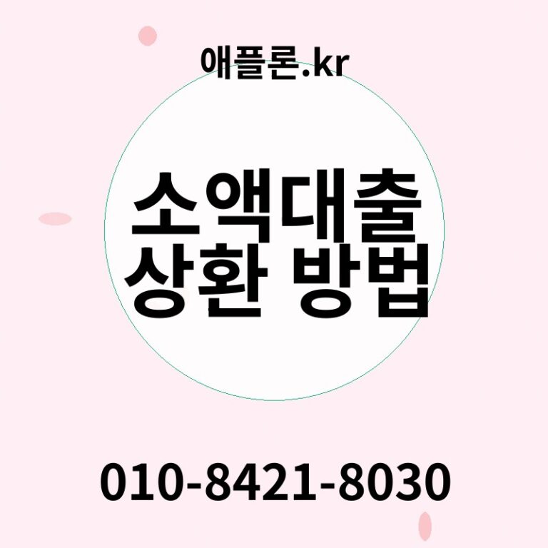 소액대출 상환 방법 | 애플론.kr | 010-8421-8030
